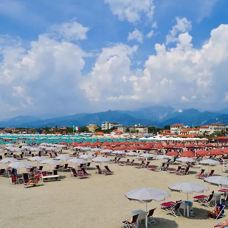 Apartment Casa Arno 500m From - Happy
